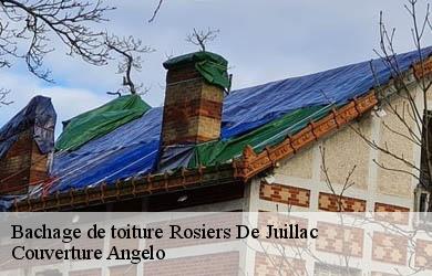 Bachage de toiture  rosiers-de-juillac-19350 Couverture Angelo 