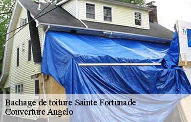 Bachage de toiture  sainte-fortunade-19490 Couverture Angelo 