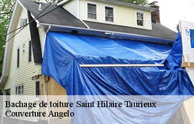 Bachage de toiture saint-hilaire-taurieux-19400 Couverture Angelo