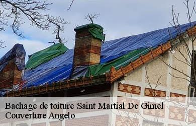 Bachage de toiture  saint-martial-de-gimel-19150 Couverture Angelo 