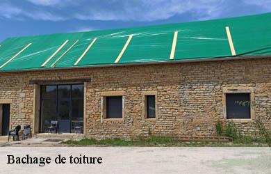 Bachage de toiture thalamy-19200 Couverture Angelo