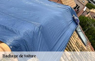 Bachage de toiture  vars-sur-roseix-19130 Couverture Angelo 
