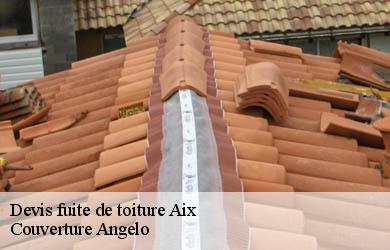 Devis fuite de toiture  aix-19200 Couverture Angelo 