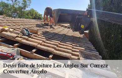 Devis fuite de toiture  les-angles-sur-correze-19000 Couverture Angelo 