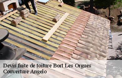 Devis fuite de toiture  bort-les-orgues-19110 Couverture Angelo 