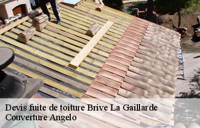 Devis fuite de toiture  brive-la-gaillarde-19100 Couverture Angelo 