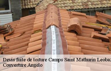 Devis fuite de toiture  camps-saint-mathurin-leobaze-19430 Couverture Angelo 