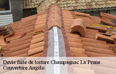 Devis fuite de toiture  champagnac-la-prune-19320 Couverture Angelo 