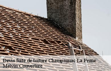 Devis fuite de toiture champagnac-la-prune-19320 Melvin Couverture