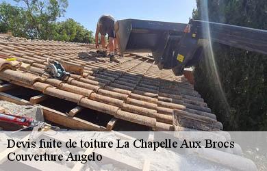 Devis fuite de toiture  la-chapelle-aux-brocs-19360 Couverture Angelo 