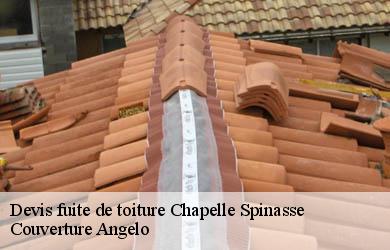 Devis fuite de toiture  chapelle-spinasse-19300 Couverture Angelo 