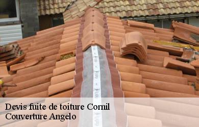 Devis fuite de toiture  cornil-19150 Couverture Angelo 