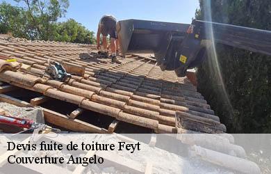 Devis fuite de toiture feyt-19340 Couverture Angelo