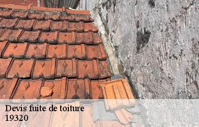 Devis fuite de toiture  gumond-19320 Couverture Angelo 