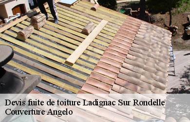 Devis fuite de toiture  ladignac-sur-rondelle-19150 Couverture Angelo 