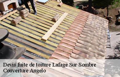 Devis fuite de toiture  lafage-sur-sombre-19320 Couverture Angelo 