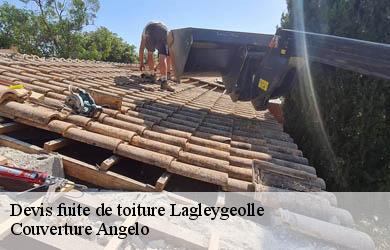 Devis fuite de toiture  lagleygeolle-19500 Couverture Angelo 