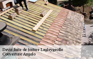 Devis fuite de toiture  lagleygeolle-19500 Couverture Angelo 