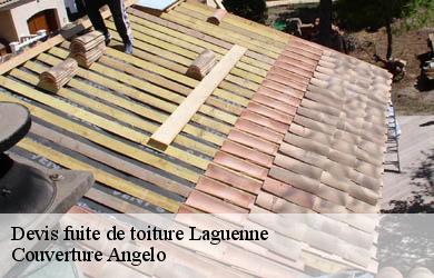 Devis fuite de toiture  laguenne-19150 Couverture Angelo 
