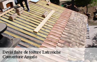 Devis fuite de toiture  latronche-19160 Couverture Angelo 