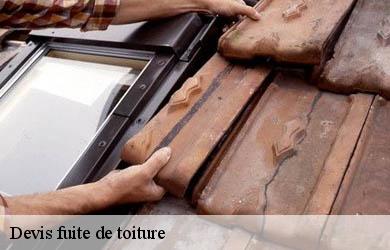 Devis fuite de toiture  lignareix-19200 Couverture Angelo 