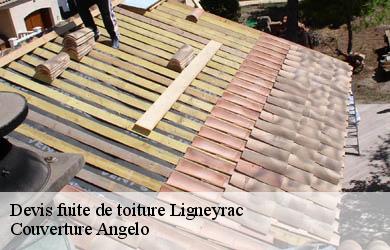 Devis fuite de toiture  ligneyrac-19500 Couverture Angelo 