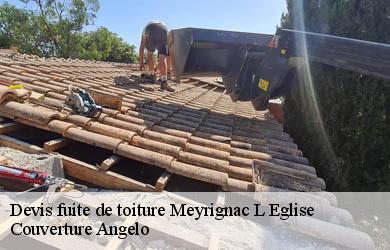 Devis fuite de toiture  meyrignac-l-eglise-19800 Couverture Angelo 