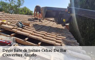 Devis fuite de toiture orliac-de-bar-19390 Couverture Angelo