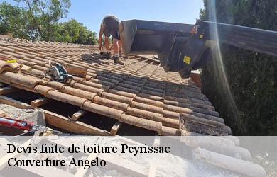 Devis fuite de toiture peyrissac-19260 Couverture Angelo