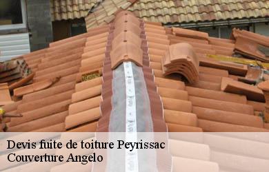 Devis fuite de toiture  peyrissac-19260 Couverture Angelo 
