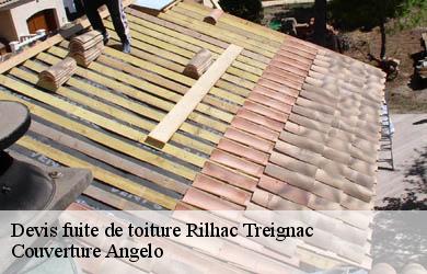 Devis fuite de toiture  rilhac-treignac-19260 Couverture Angelo 