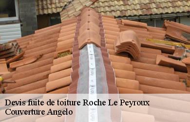 Devis fuite de toiture  roche-le-peyroux-19160 Couverture Angelo 