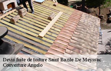 Devis fuite de toiture  saint-bazile-de-meyssac-19500 Couverture Angelo 