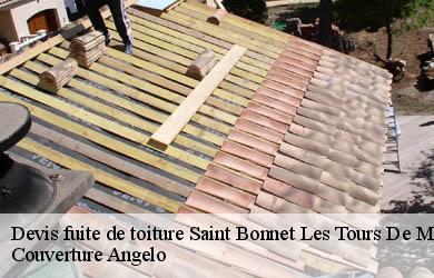 Devis fuite de toiture saint-bonnet-les-tours-de-merle-19430 Couverture Angelo