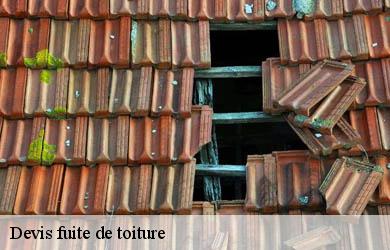 Devis fuite de toiture  saint-dezery-19200 Couverture Angelo 