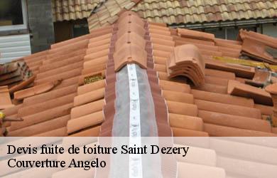Devis fuite de toiture  saint-dezery-19200 Couverture Angelo 