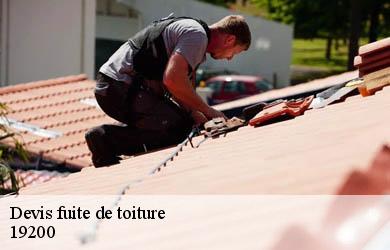 Devis fuite de toiture  saint-dezery-19200 Couverture Angelo 