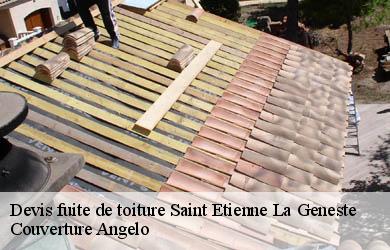 Devis fuite de toiture  saint-etienne-la-geneste-19160 Couverture Angelo 