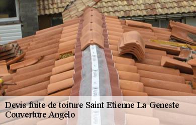 Devis fuite de toiture  saint-etienne-la-geneste-19160 Couverture Angelo 