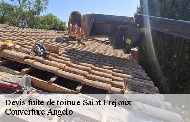 Devis fuite de toiture  saint-frejoux-19200 Couverture Angelo 