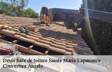 Devis fuite de toiture  sainte-marie-lapanouze-19160 Couverture Angelo 