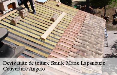 Devis fuite de toiture sainte-marie-lapanouze-19160 Couverture Angelo
