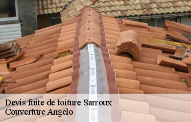 Devis fuite de toiture  sarroux-19110 Couverture Angelo 