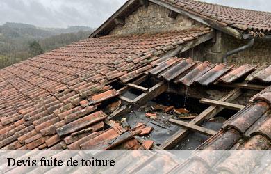 Devis fuite de toiture tulle-19000 Melvin Couverture