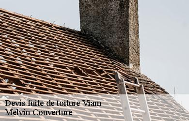 Devis fuite de toiture  viam-19170 Melvin Couverture