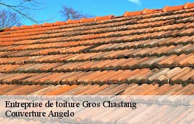 Entreprise de toiture  gros-chastang-19320 Couverture Angelo 