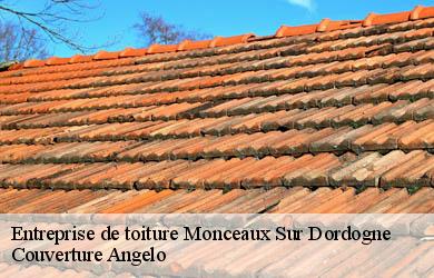 Entreprise de toiture  monceaux-sur-dordogne-19400 Couverture Angelo 