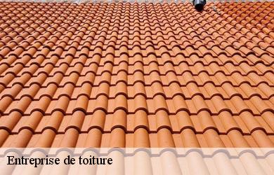 Entreprise de toiture seilhac-19700 Couverture Angelo