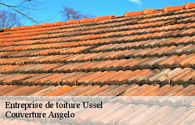 Entreprise de toiture  ussel-19200 Couverture Angelo 